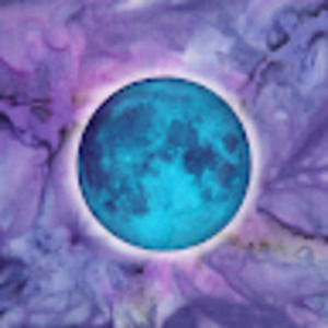 Meet your Posher, Shelly